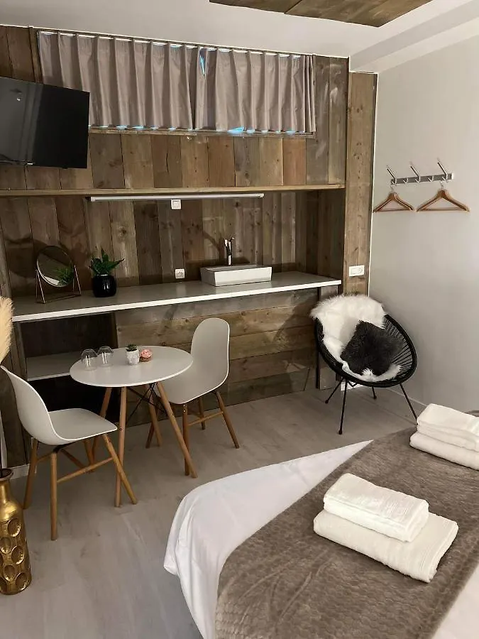 Ruime Luxe Kamer In Centrum Brugge Met Badkamer!
